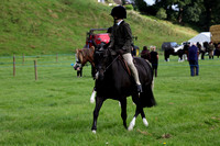 Dalston Show In Hand and Ridden 2024